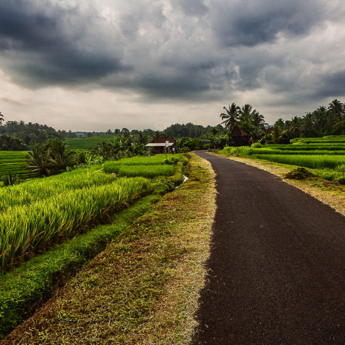 Road in Bali