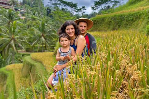 Family photography on rice terraces Tegalalang, Bali
