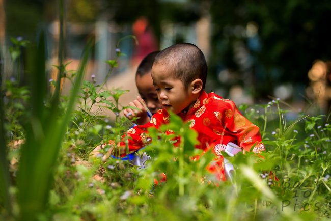Children in the forest - Vietnam