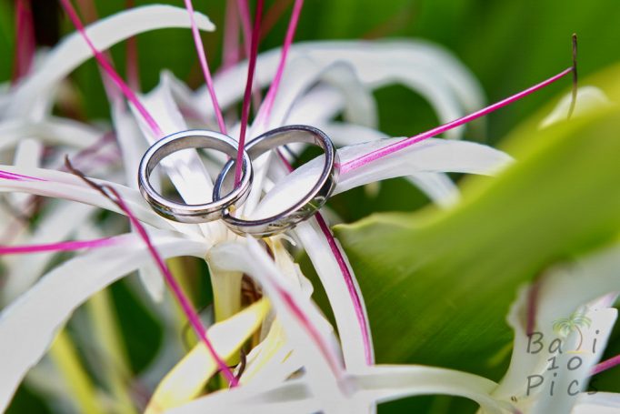 Wedding rings on flower