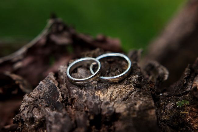 Wedding rings on tree