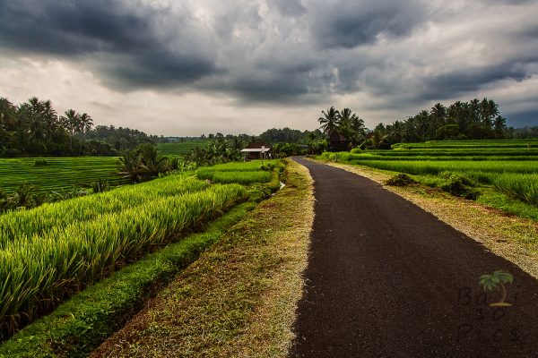 Road in Bali