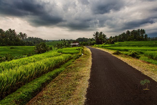 Road in Bali