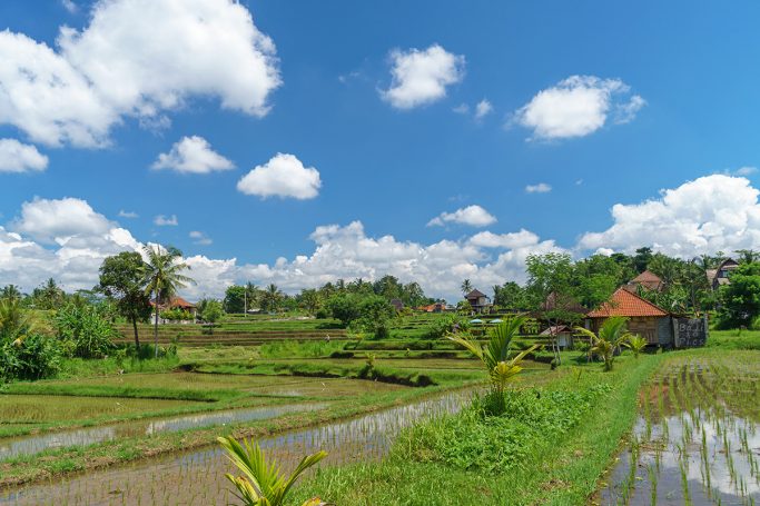 Природа в Бали
