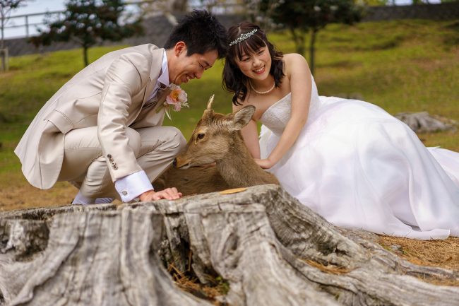 Wedding in Nara, Japan