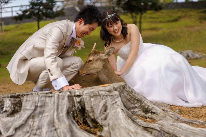 Wedding in Nara, Japan