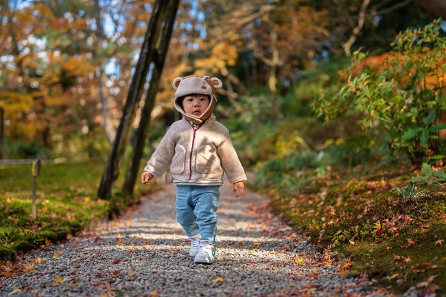 Japan autumn photography